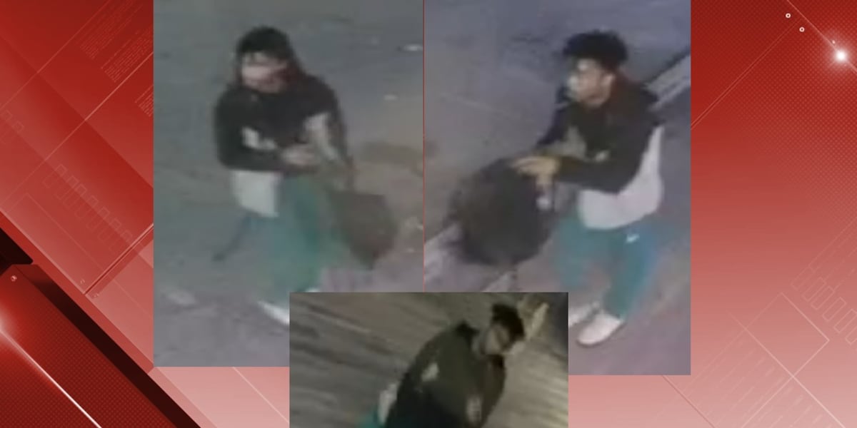Danville PD seeks public’s help identifying burglary suspect