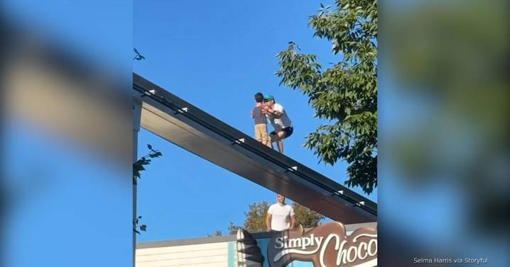 Man saves boy from amusement park monorail track