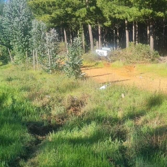 Accidente vehicular moviliza a equipos de emergencia de Pichilemu