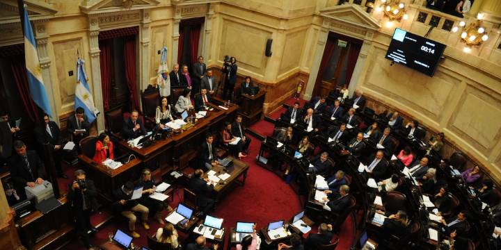 Complejo panorama para el Gobierno en el Senado con la emergencia pediátrica y el presupuesto universitario