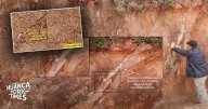 Descubren en San Ramón ‘tierras raras’, minerales que sirven para  fabricar autos eléctricos