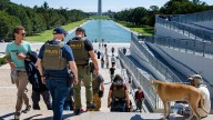 A law enforcement surge has taken a toll on children of immigrants in Washington schools