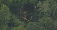 Plane crashes in Dover, Delaware; no injuries reported, state police say