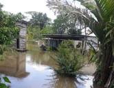 El río Orinoco comenzó a bajar en Delta Amacuro
