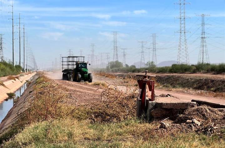 Principal proveedor de maquinaria agrícola, John Deere, perjudicado por aranceles