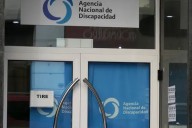 Diputados piden a la AGN auditar contratos de Andis y Suizo Argentina