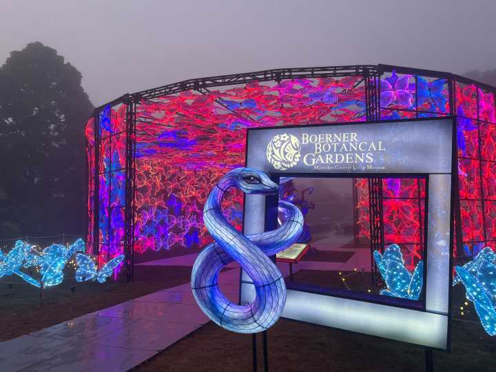 China Lights turns Boerner Botanical Gardens into a magical forest for the next 2 months