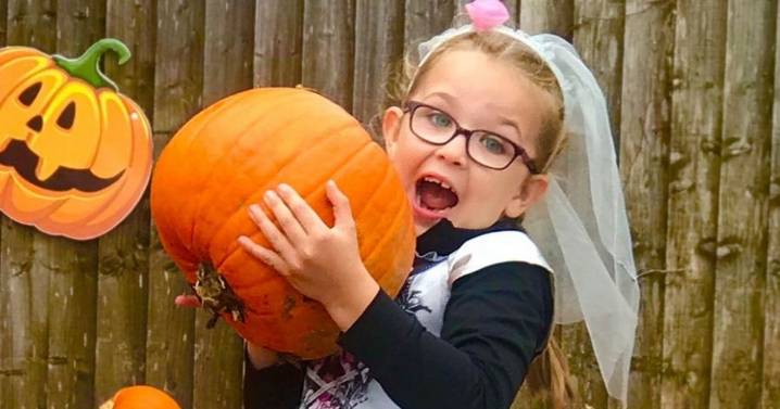 The Halloween 'scream park' which is 'perfect for kids' just 80 minutes from Birmingham
