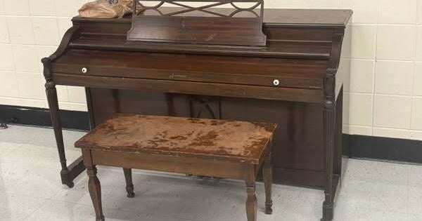 Cairo Schools Hit the Right Note with New Piano Donation