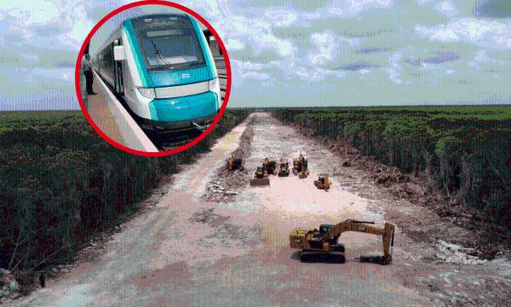 Nuevo ecocidio del Tren Maya, avalado por Semarnat: Greenpeace
