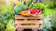 El semáforo de economías regionales marcó 4 actividades “en verde”, 6 “en rojo” y 9 “en amarillo”