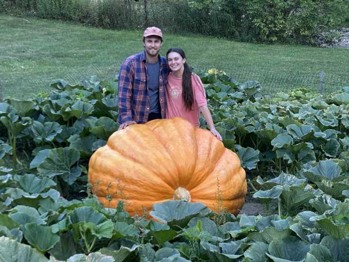 Meet The 1,200-Pound Pumpkin Taking Over Central New York