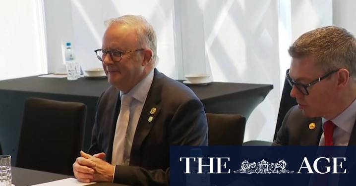 Anthony Albanese touting social media ban ahead of his multi