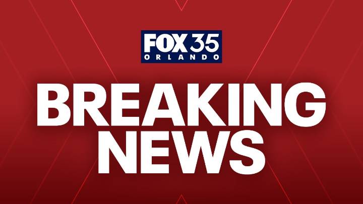 Brightline train crash: 1 dead after car tried to beat train, officials say