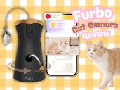 I tried the Furbo cat camera and I think it is the No. 1 thing every anxious pet owner needs