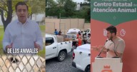 “Los 70 perritos están vivos” Alcalde de Morena en Nuevo León le responde a Salinas Pliego tras sumarse a denuncia de sacrificio masivo de perros; también desmiente a Samuel García