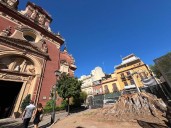 Triana pierde para siempre la icónica imagen del ficus de San Jacinto