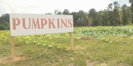 Madrac Farms prepares to open for first weekend of the season