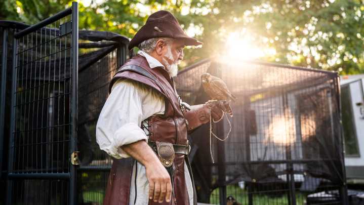 Master falconer travels U.S. with birds of prey after corporate life