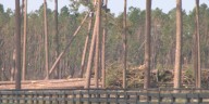 Georgia to receive $531 million federal grant for Hurricane Helene recovery