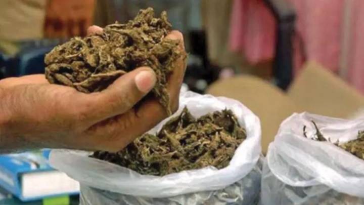 200 kg ganja seized across Khammam police limits