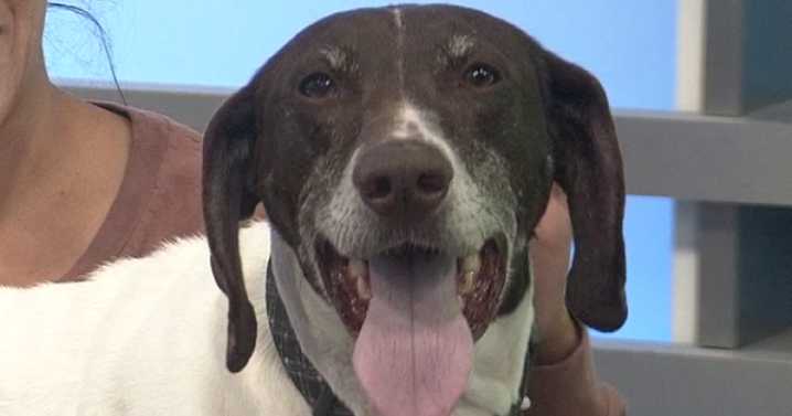 Furry Friend Friday: Meet Suds