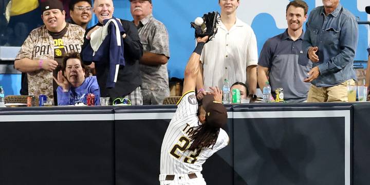Fernando Tatis Jr. home run robbery denies Tyler Stephenson