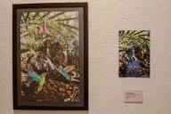 ‘Fusión’, la exposición temporal colombo - cubana para disfrutar en Museo Panóptico