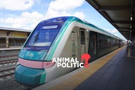 Tren Maya aún no es rentable; Presupuesto de Egresos proyecta recortarle 28 % los recursos para 2026