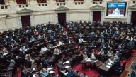 Diputados se preparan para revertir los vetos a universidad y salud pediátrica