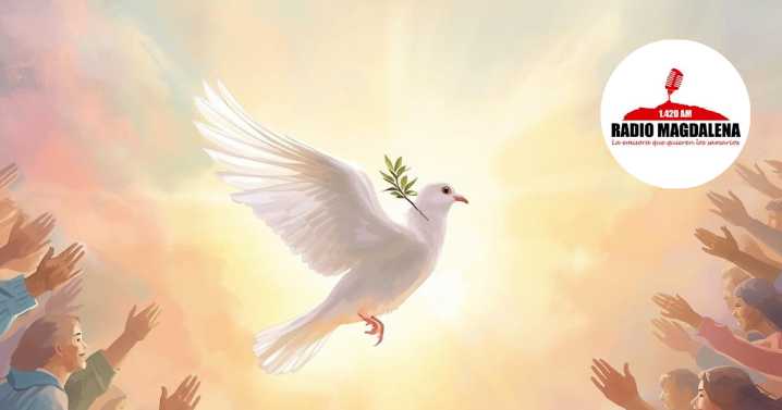 🌎 Día Internacional de la Paz: un llamado urgente a la convivencia