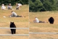 Scary Video Shows Bear Approaching Unaware Couple Relaxing in Park