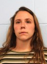 Ex-Hudson teacher pleads guilty to sexual misconduct with 11