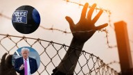 Escena desgarradora: deportaciones masivas de Trump separan a familias enteras en EE. UU.