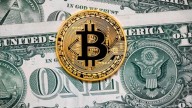 Dólar cripto: A cuánto cotiza el dólar que nunca duerme tras el cierre de comicios de las elecciones legislativas