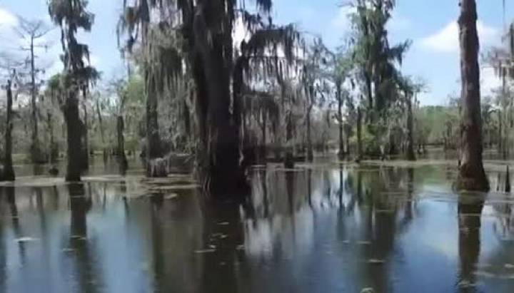 Ordenan el cierre de "Alligator Alcatraz" en Florida