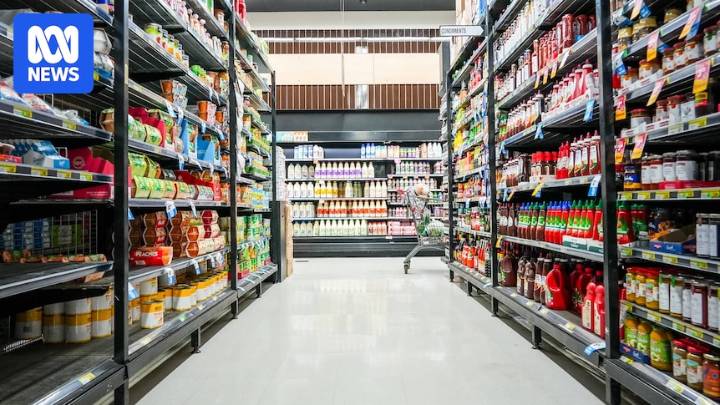 How much fish is in tinned tuna, and how to shop for your needs