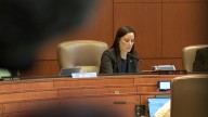 San Antonio leaders force vote on dog abandonment fines after mayor pulls it