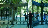 Dos focos de gripe aviar en Sevilla y sospechas en el Parque de María Luisa
