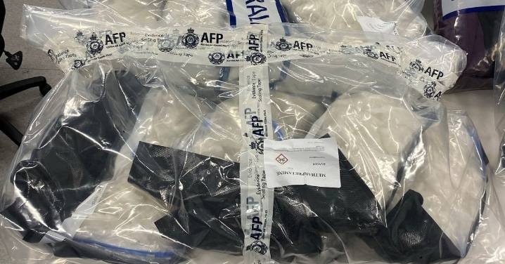 Queensland crime: Gold Coast man facing life imprisonment after alleged $11 million meth import in Brisbane, Australia