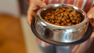 Aunt accidentally eats dog food during family visit, blames niece for the error