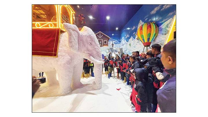 Snow Jumbo