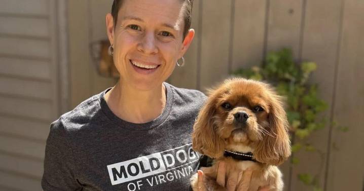 Mold Dog of Virginia sniffs out mold in homes and businesses