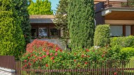 19 Min Evergreen Shrubs To Brighten Up Your Yard Throughout The Entire Year