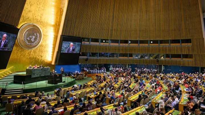 Argentina se unió a EE.UU. e Israel y rechazó establecer dos Estados independientes
