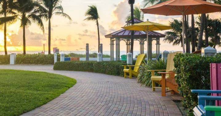 Weekend protest in Lauderdale-by-The-Sea targets renaming of Seagrape Drive to include Trump's name