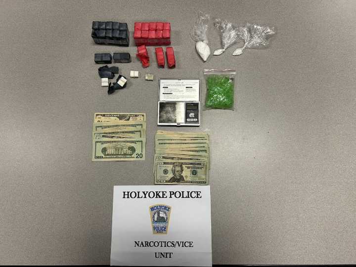Holyoke warrant sweep nets a dozen arrests