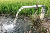 Provincia reconoce la estacionalidad del arroz y baja el costo fijo de meses en desuso