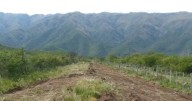Villa de Merlo: buscan frenar una ordenanza que amenaza al medio ambiente