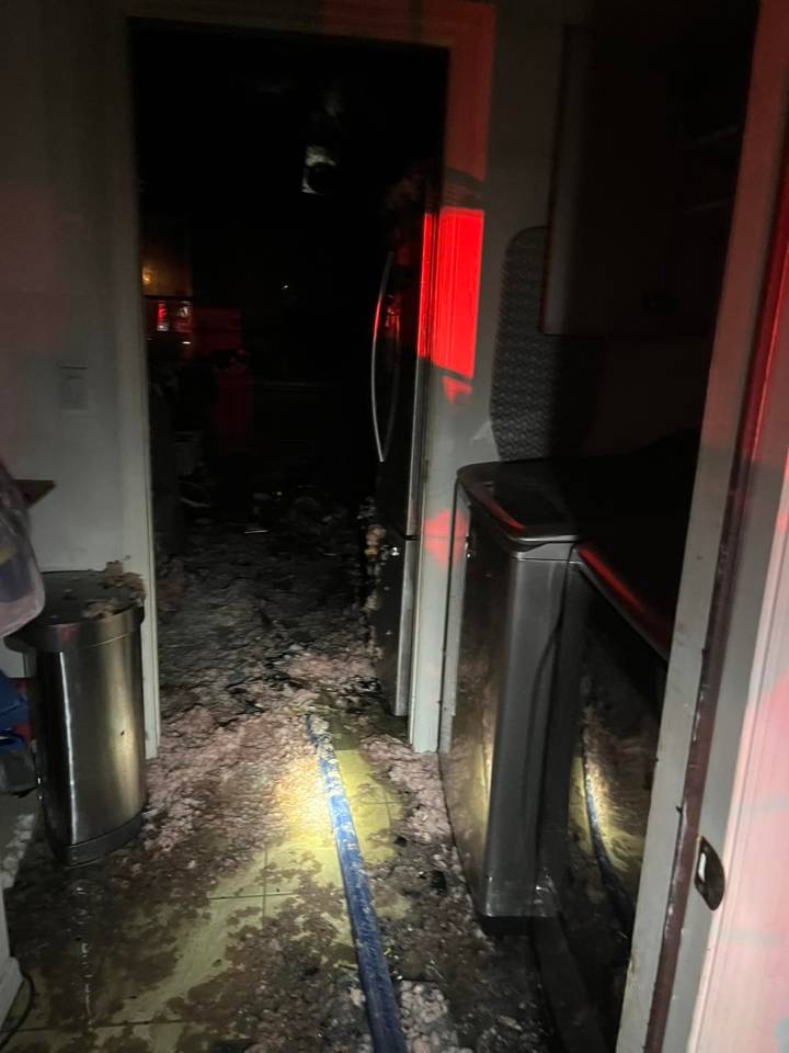 Bystanders hospitalized after trying to save 2 dogs who died in Spring Hill house fire